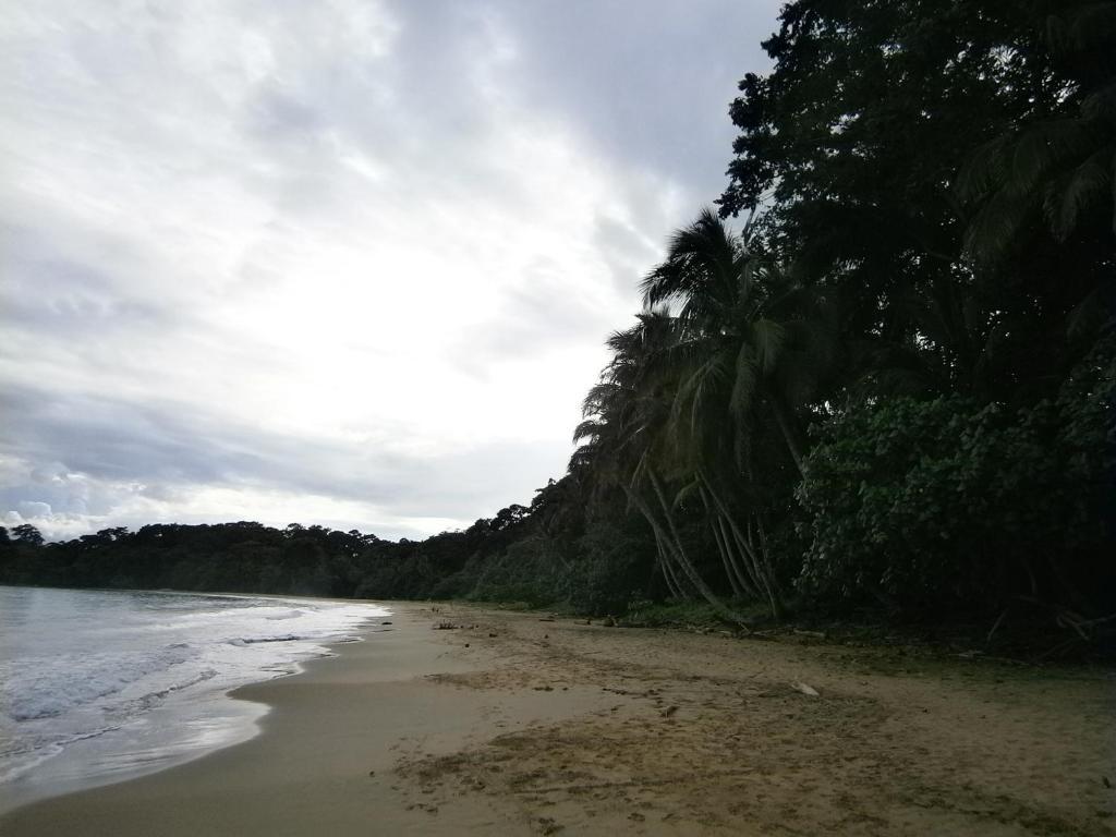 Sunrise Beach Hotel Puerto Viejo de Talamanca Eksteriør bilde