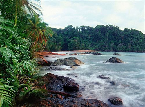Sunrise Beach Hotel Puerto Viejo de Talamanca Eksteriør bilde